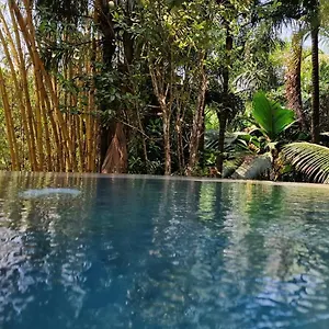 A Peace In Paradise Chalet Anse Royale